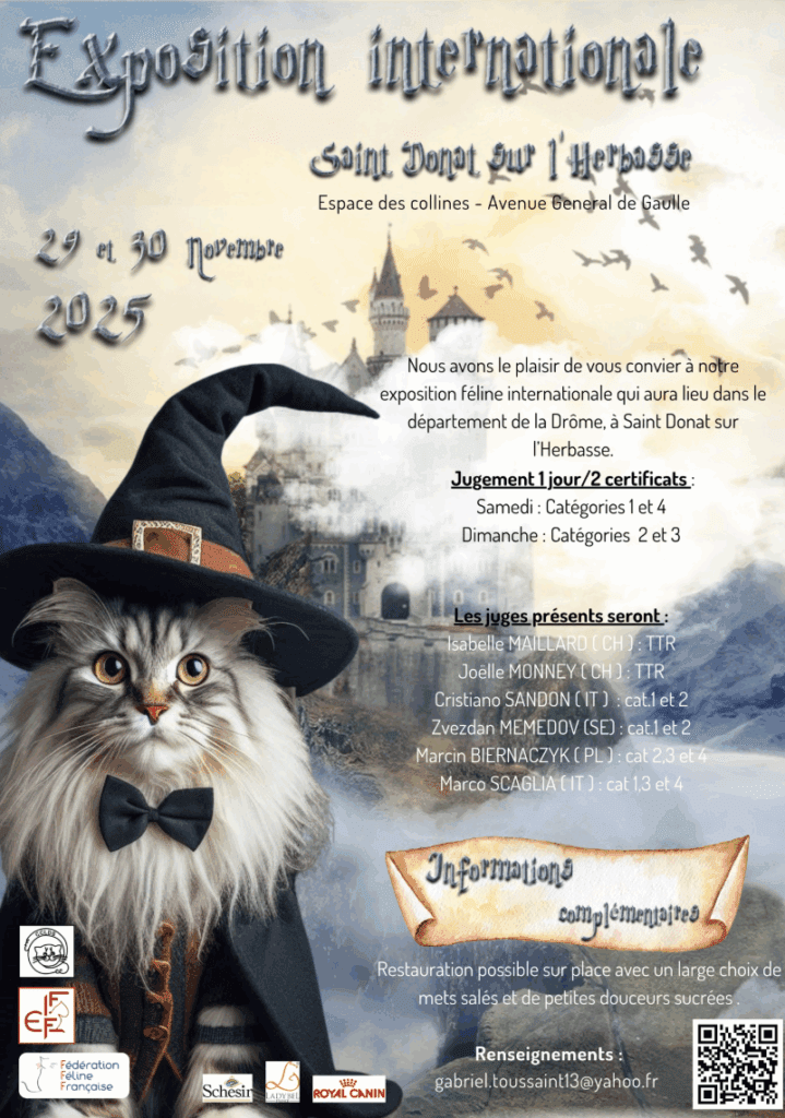 - Ecrin du félin - Ecrin du félin